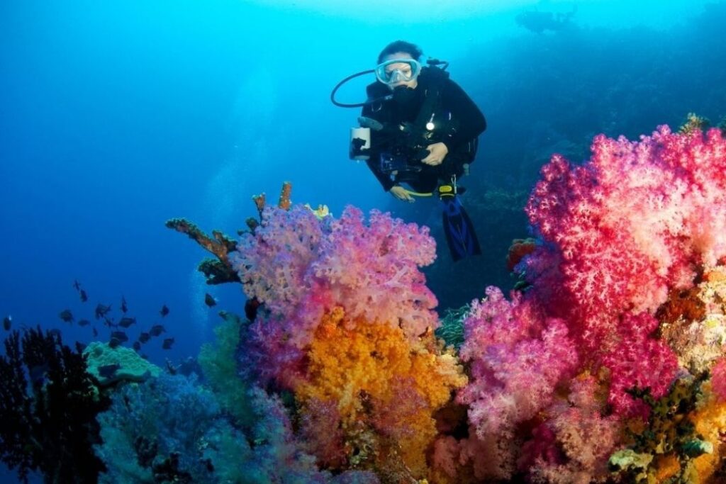 Diving in Fiji