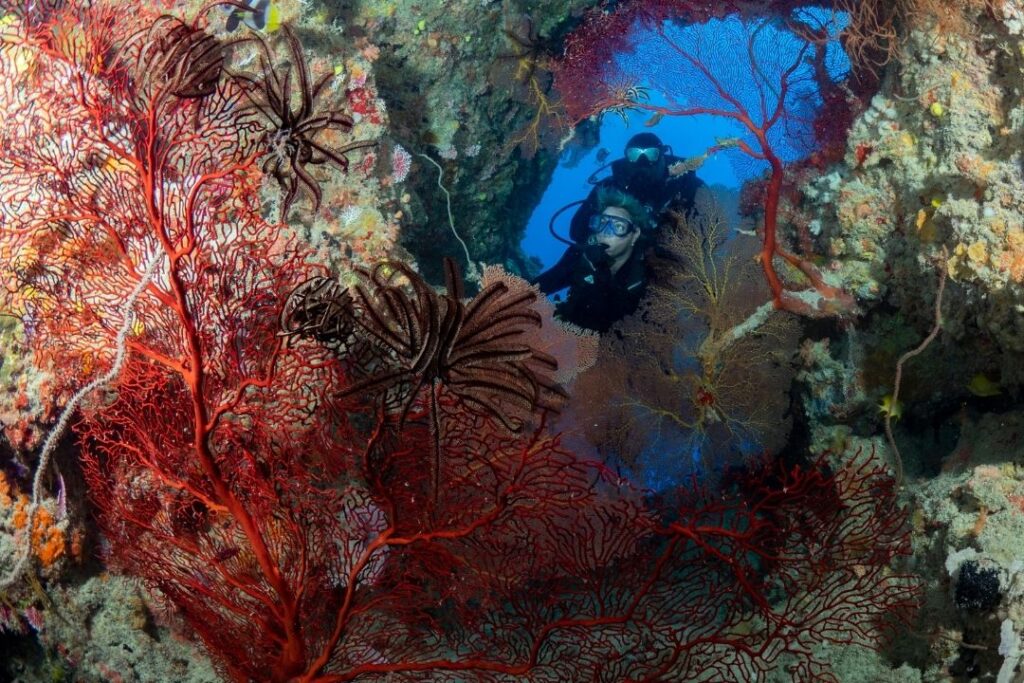 Diving in Fiji