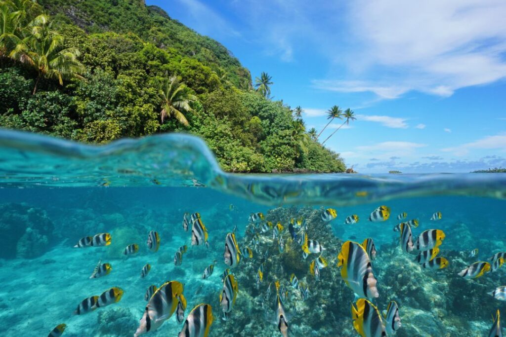 Huahine, French Polynesia