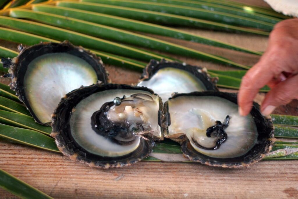 Black pearls, French Polynesia