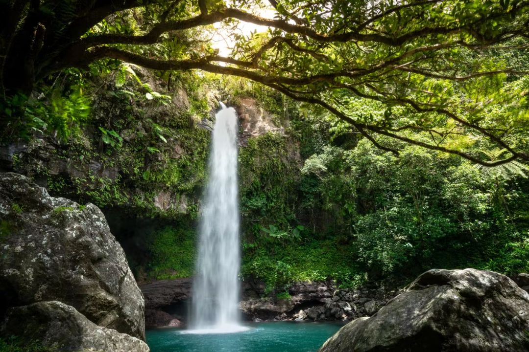 Chasing waterfalls, One of the best things to do in Fiji with kids 