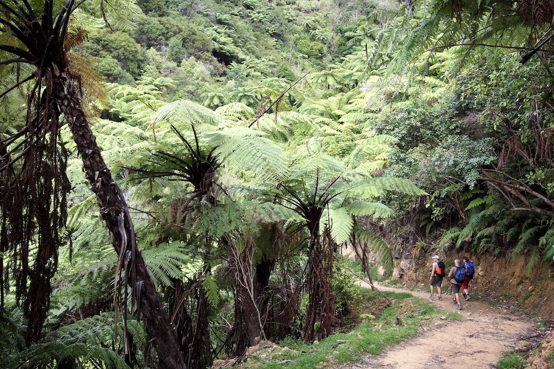 alternative walks to the great walks in New Zealand