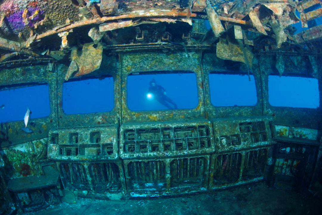 From Reefs to Wrecks: The 10 Best Dive Spots on the North Island